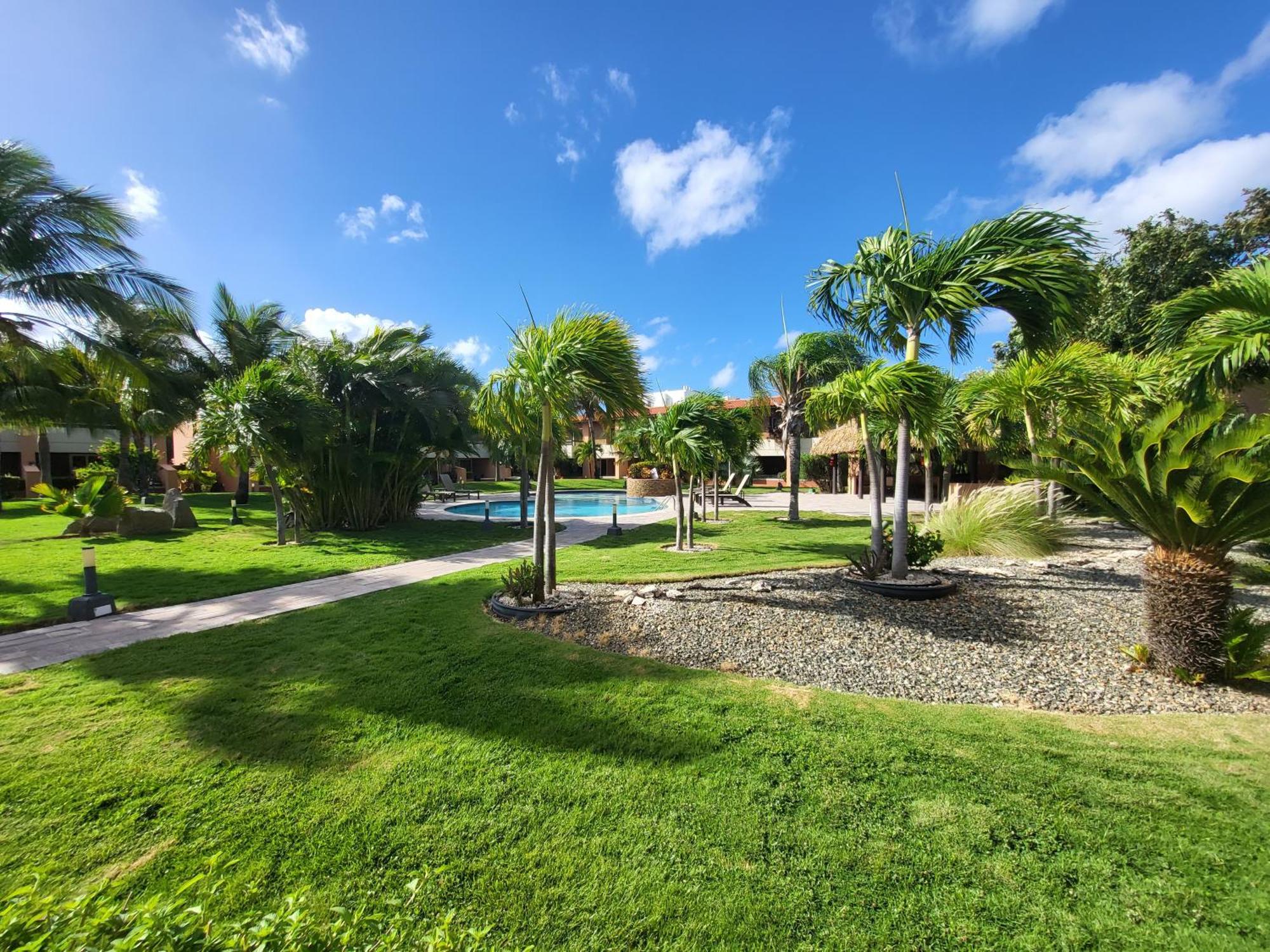 Eagle Beach Luxury House, Walking Distance To The Beach Palm Beach Zewnętrze zdjęcie