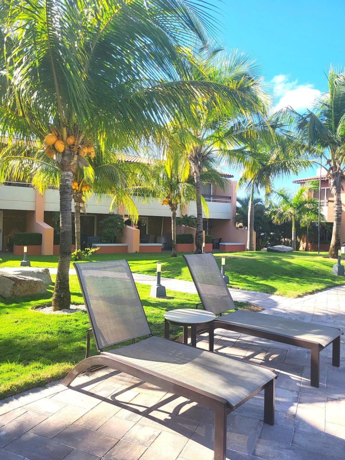Eagle Beach Luxury House, Walking Distance To The Beach Palm Beach Zewnętrze zdjęcie
