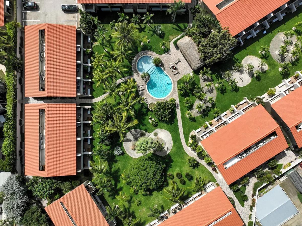 Eagle Beach Luxury House, Walking Distance To The Beach Palm Beach Zewnętrze zdjęcie