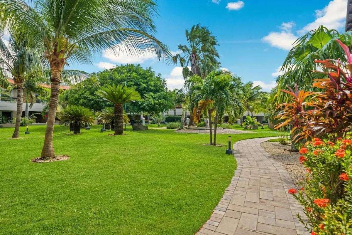 Eagle Beach Luxury House, Walking Distance To The Beach Palm Beach Zewnętrze zdjęcie